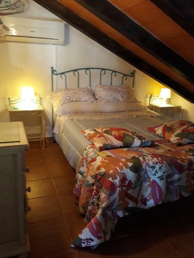 Chalet La Huerta 2 Amplios Jardines Barbacoa Y Wifi Conil De La Frontera Ngoại thất bức ảnh